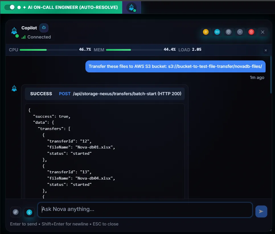 Nova Copilot transferring files to AWS S3 bucket with successful batch response